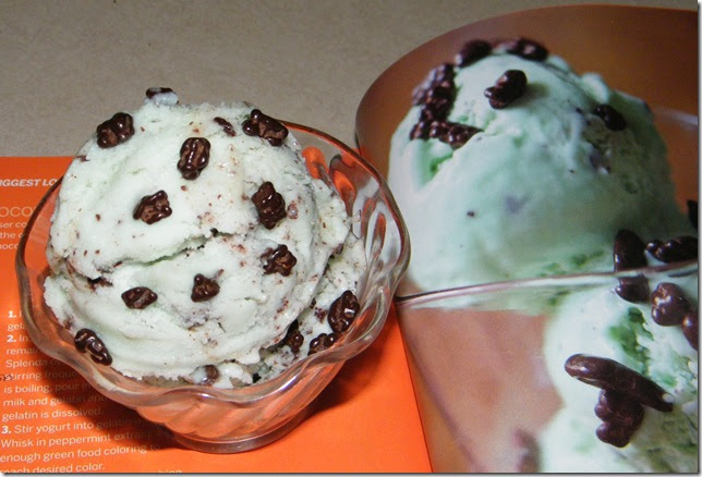 mint chocolate frozen yogurt